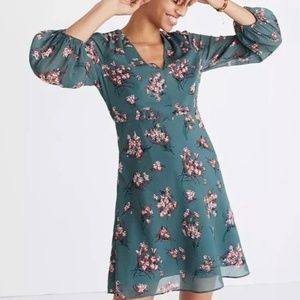 Madewell Marguerite Dress in Butterfly Garden Green Women's 6